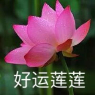 “楠竹之乡”湖南桃江“飞防+人防”为40万亩竹林减少虫害